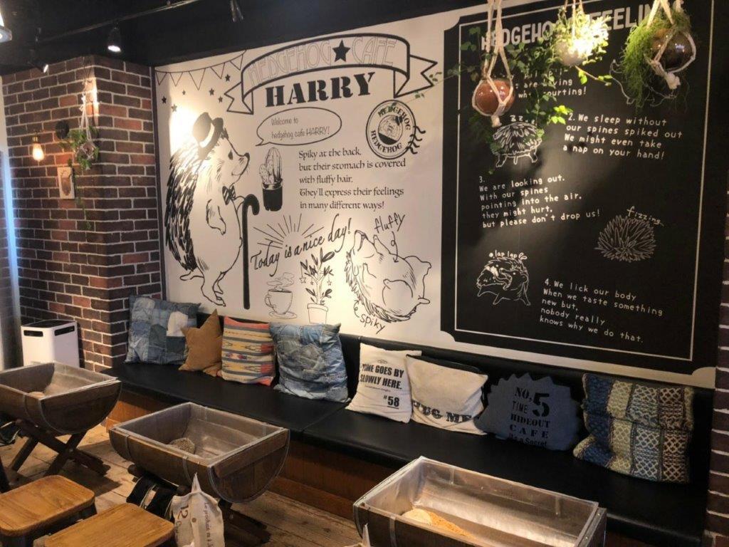Ingresso para o Hedgehog Cafe em Harajuku - Photo 9