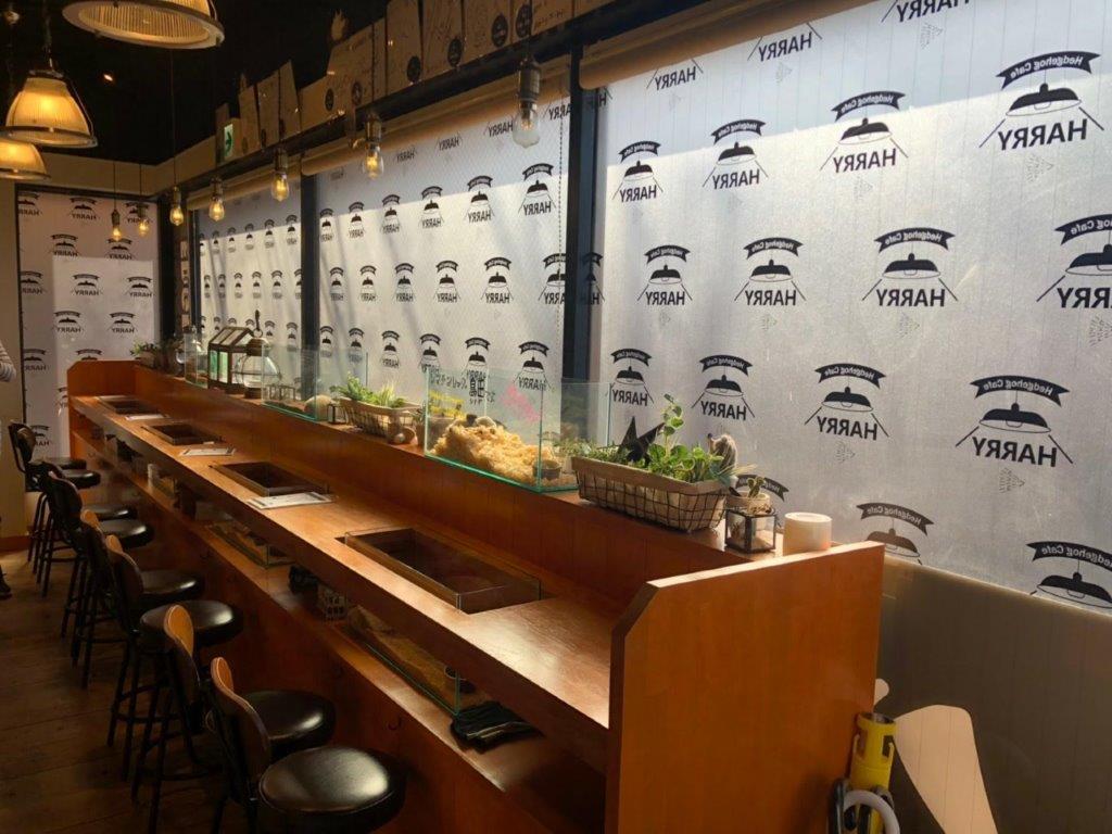 Ingresso para o Hedgehog Cafe em Harajuku - Photo 11