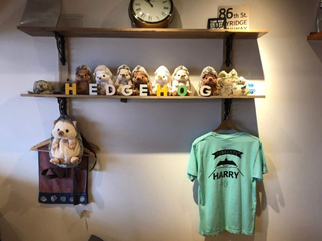 Ingresso para o Hedgehog Cafe em Harajuku - Photo 14