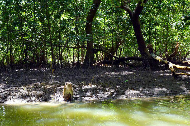 Wat Bang Kung Temple and Mangrove Boat Tour from Bangkok - Photo 4