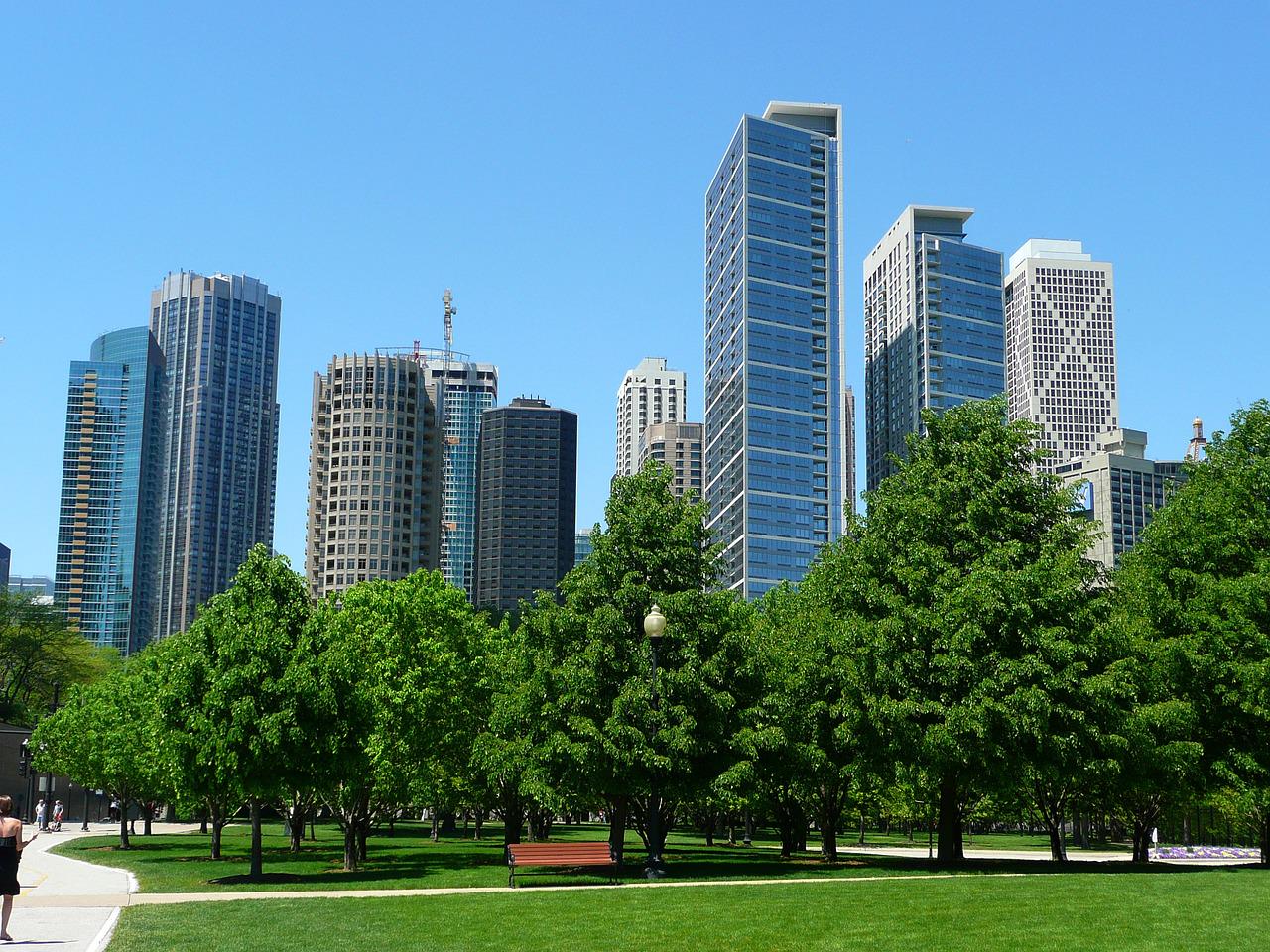 Shared Chicago City Tour - Photo 4