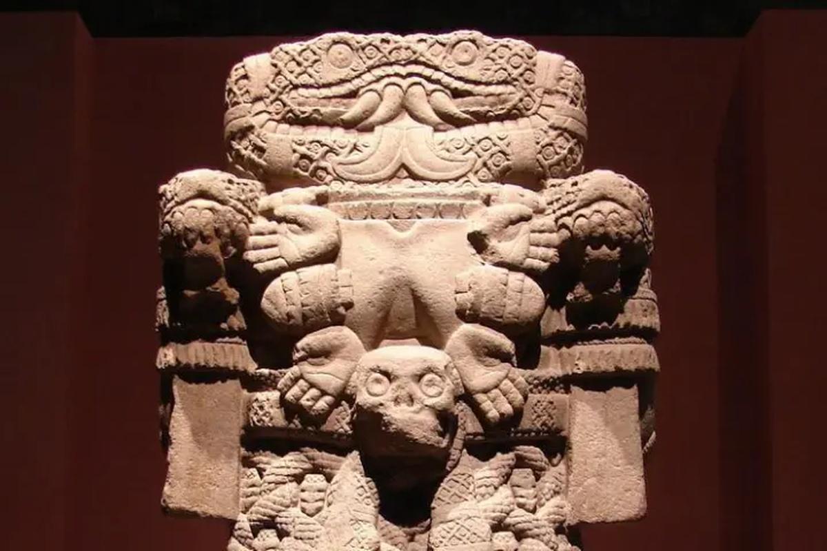 Visita guiada ao Museu de Antropologia - Photo 5