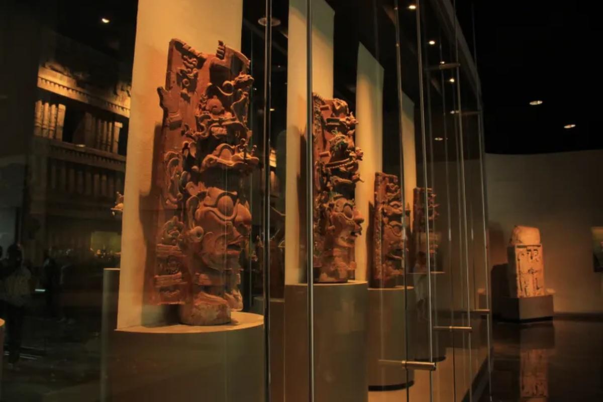 Visita guiada ao Museu de Antropologia - Photo 7