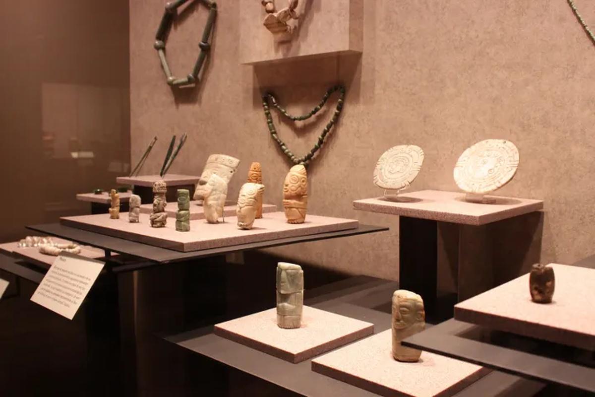 Visita guiada ao Museu de Antropologia - Photo 8