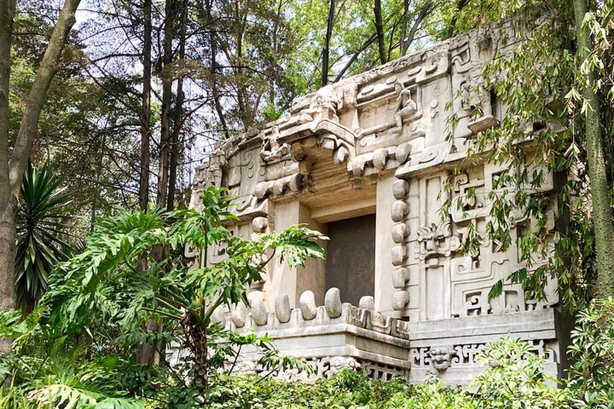 Visita guiada ao Museu de Antropologia - Photo 15