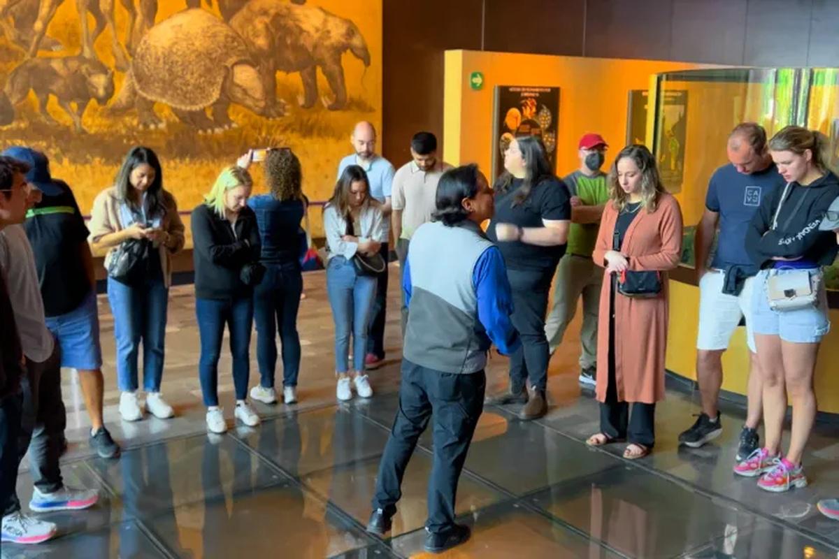 Visita guiada ao Castelo de Chapultepec e Museu de Antropologia - Photo 15