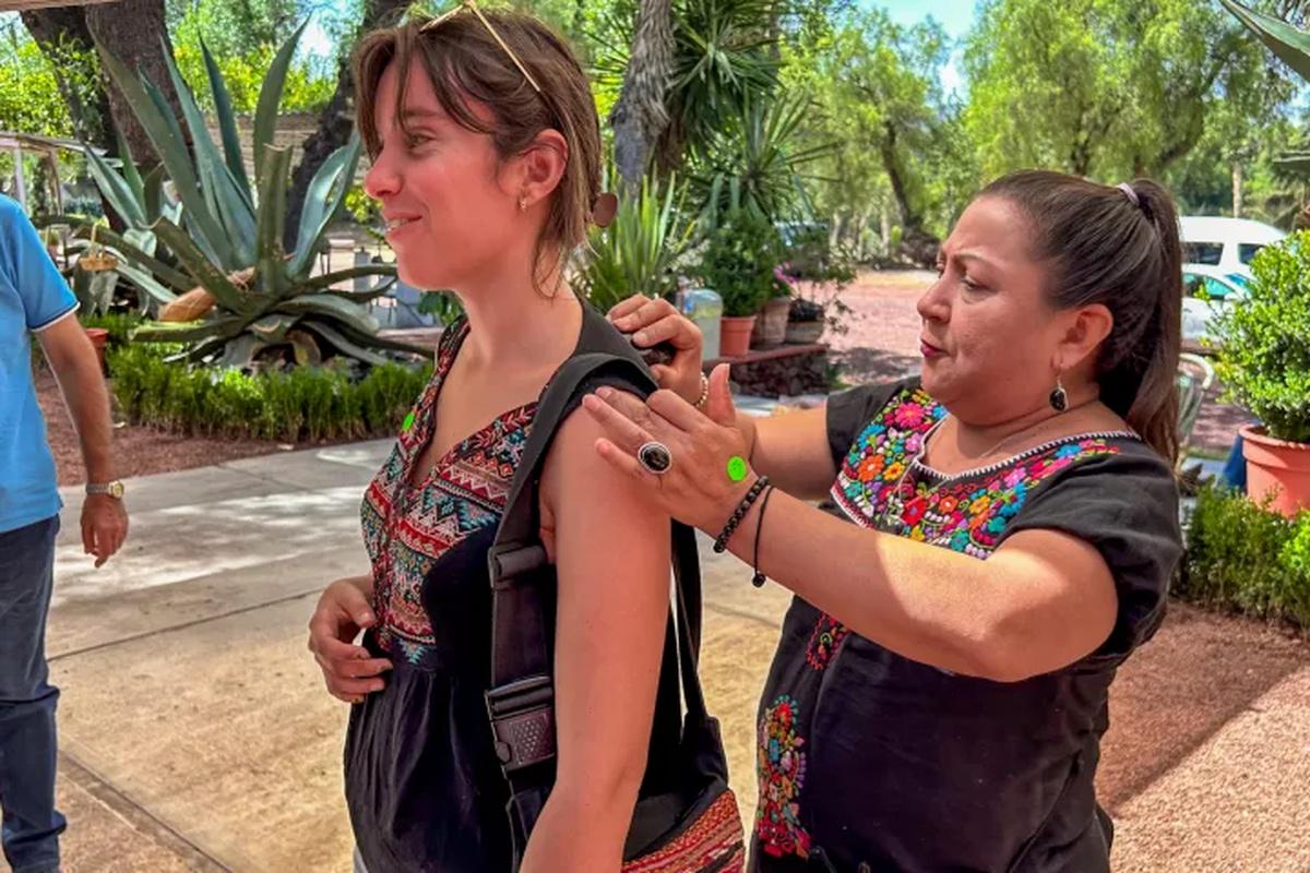 Guided tour with early access to Teotihuacán - Photo 26