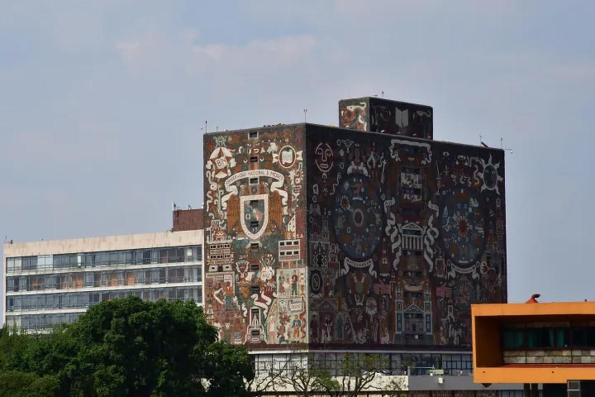 Xochimilco, Coyoacán e Museu Frida Kahlo opcional - Photo 19