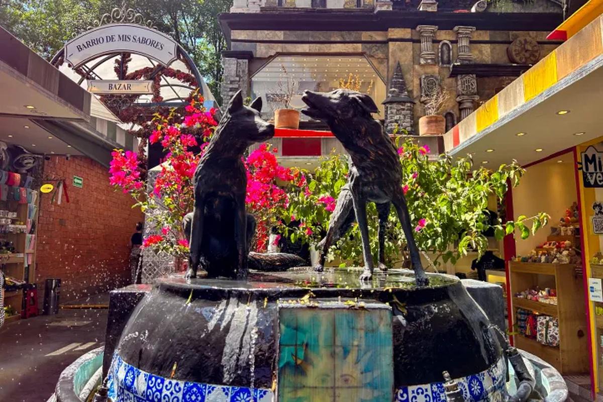 Xochimilco, Coyoacán e Museu Frida Kahlo opcional - Photo 20