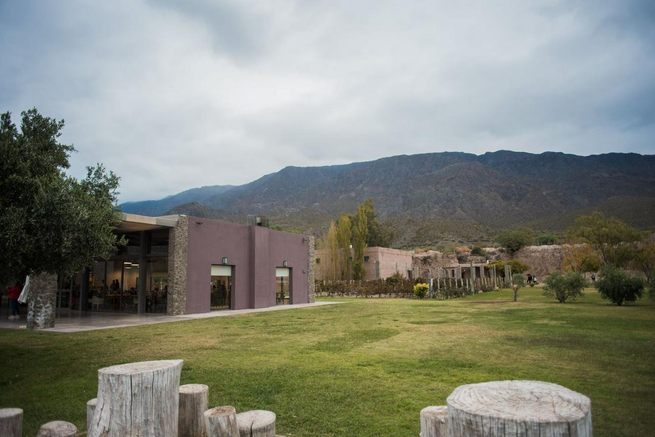 From San Juan: Dams and Streams with Lunch at Finca Sierras Azules Winery - Photo 14