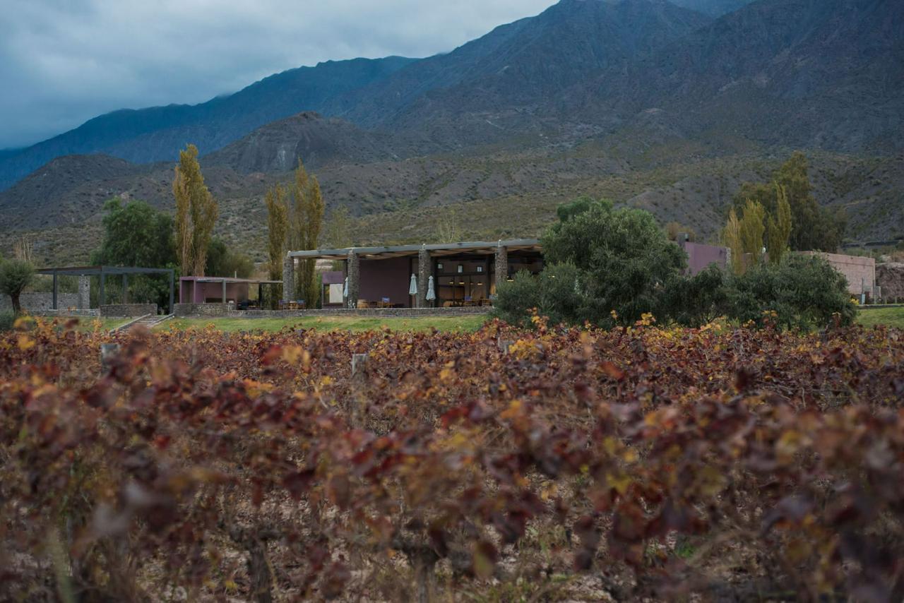 From San Juan: Dams and Streams with Lunch at Finca Sierras Azules Winery - Photo 18