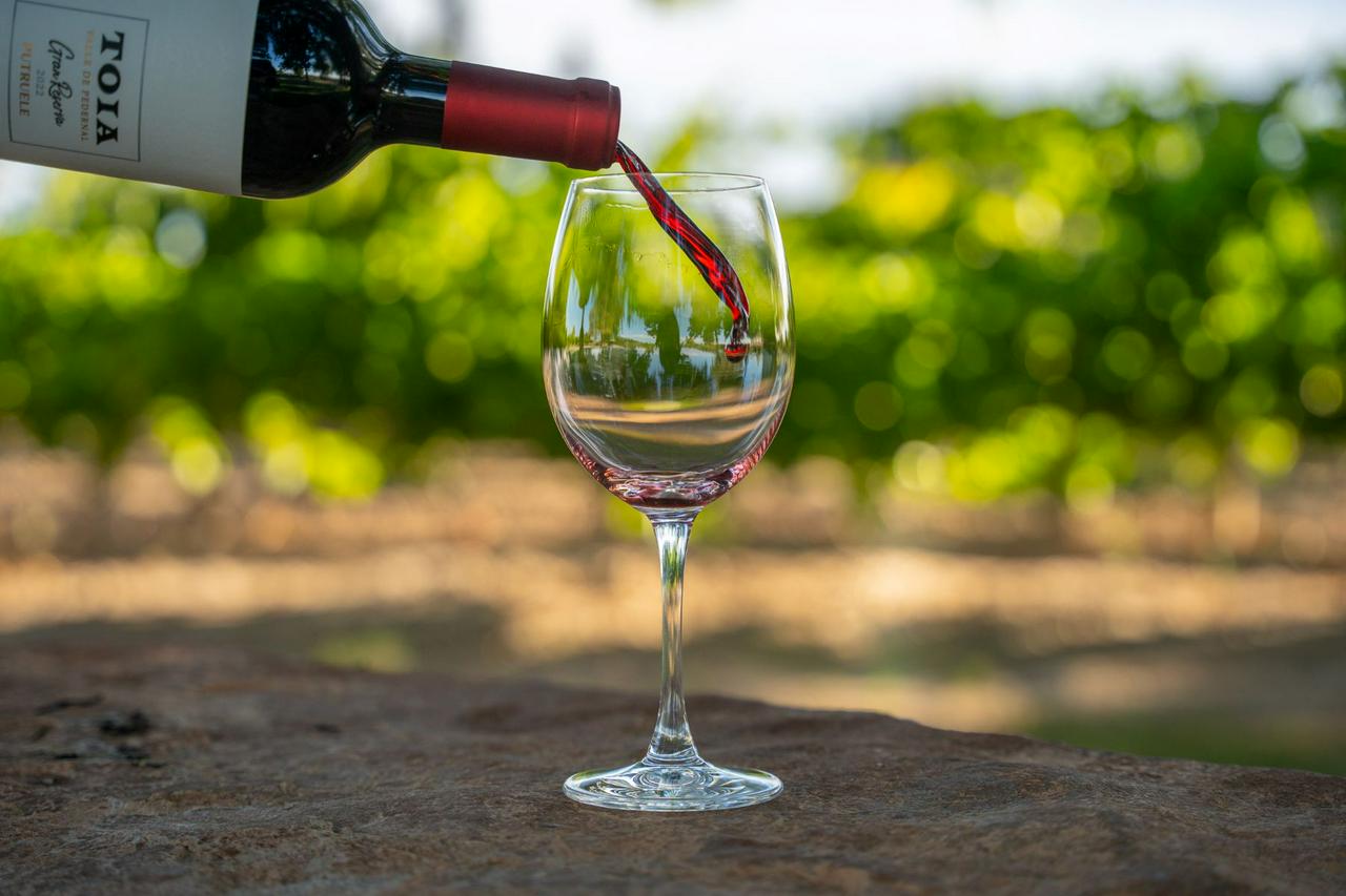 From San Juan: Putruele Winery with Tasting and Pairing - Photo 2