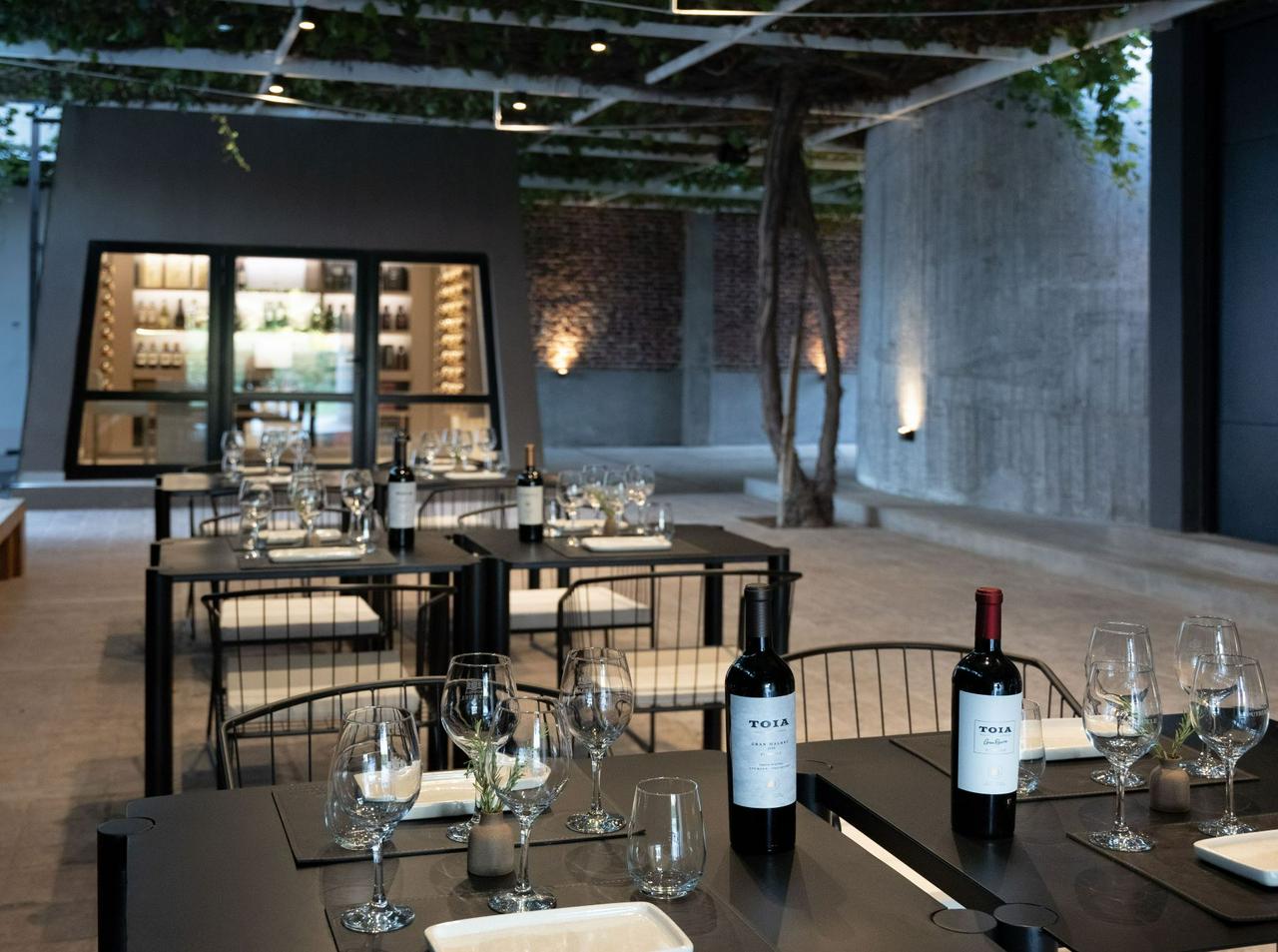 From San Juan: Putruele Winery with Tasting and Pairing - Photo 4