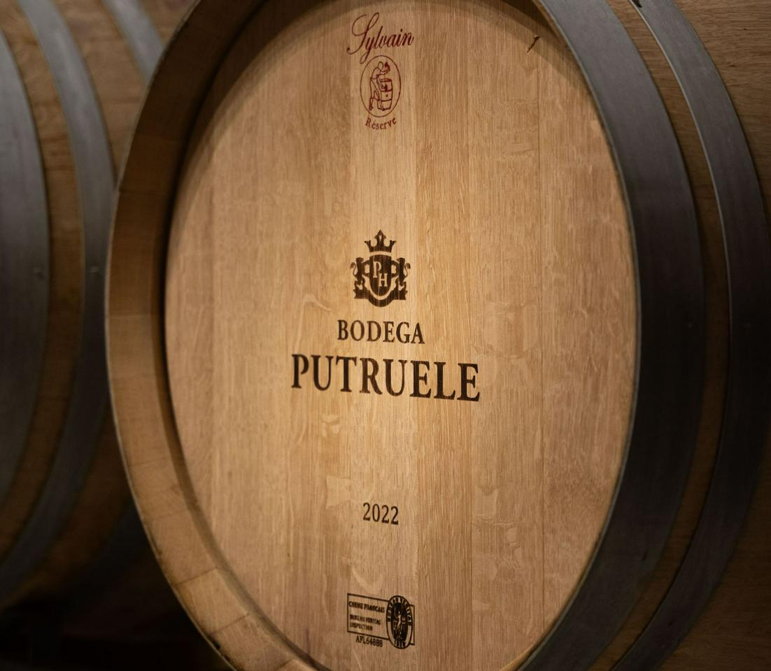 From San Juan: Putruele Winery with Tasting and Pairing - Photo 5