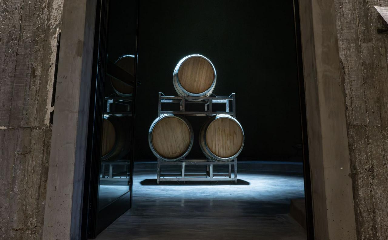 From San Juan: Putruele Winery with Tasting and Pairing - Photo 6