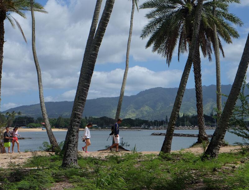 Oahu Explorer Attractions Pass - Go City - Photo 15