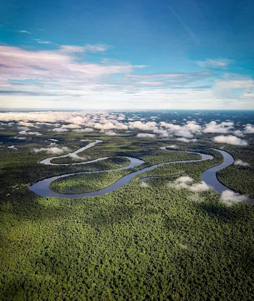 3 dias de vida selvagem na Amazônia: Fuga da floresta tropical de Manu - Photo 10