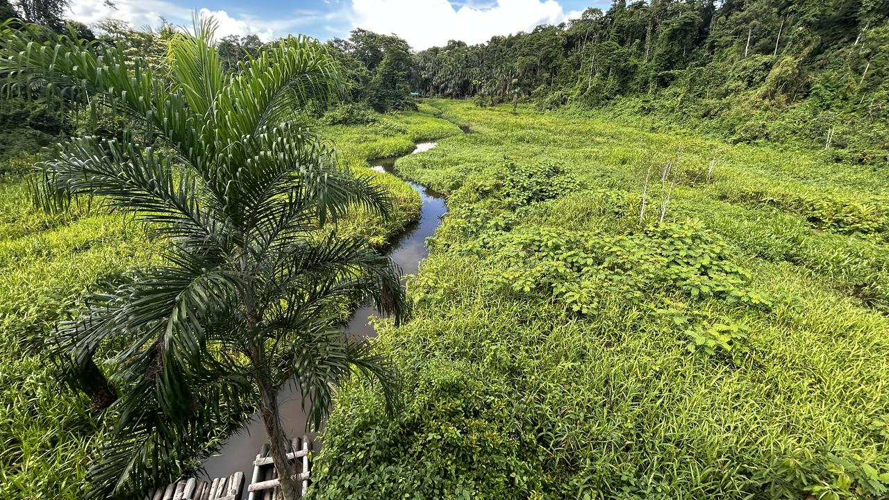 3 dias de vida selvagem na Amazônia: Fuga da floresta tropical de Manu - Photo 11