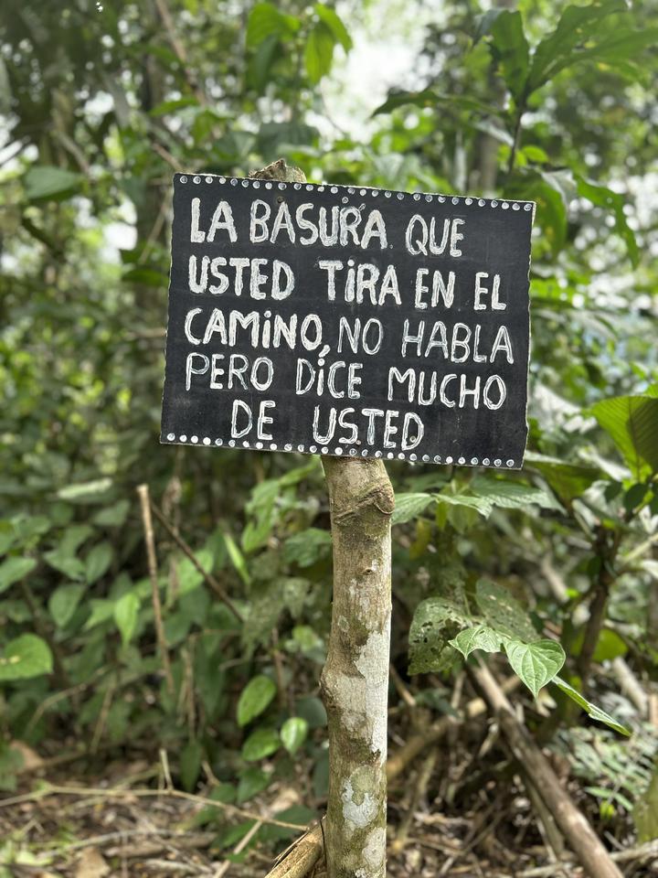 3 dias de vida selvagem na Amazônia: Fuga da floresta tropical de Manu - Photo 14