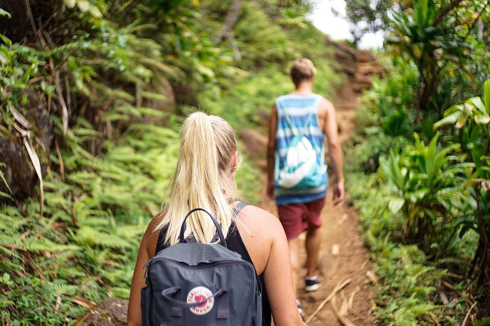 Manus Park Odyssey: Embarque em uma expedição de 4 dias na selva - Photo 2