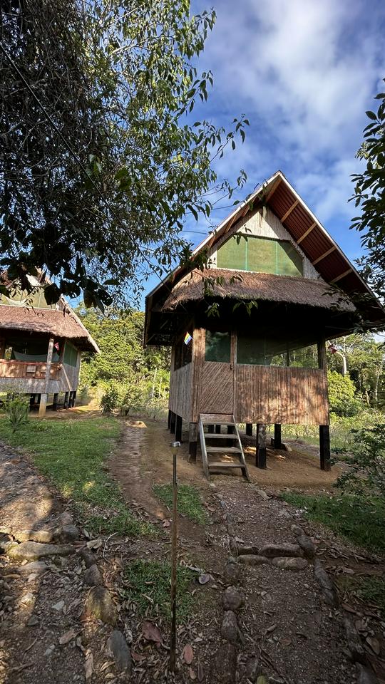 Manus Park Odyssey: Embarque em uma expedição de 4 dias na selva - Photo 11