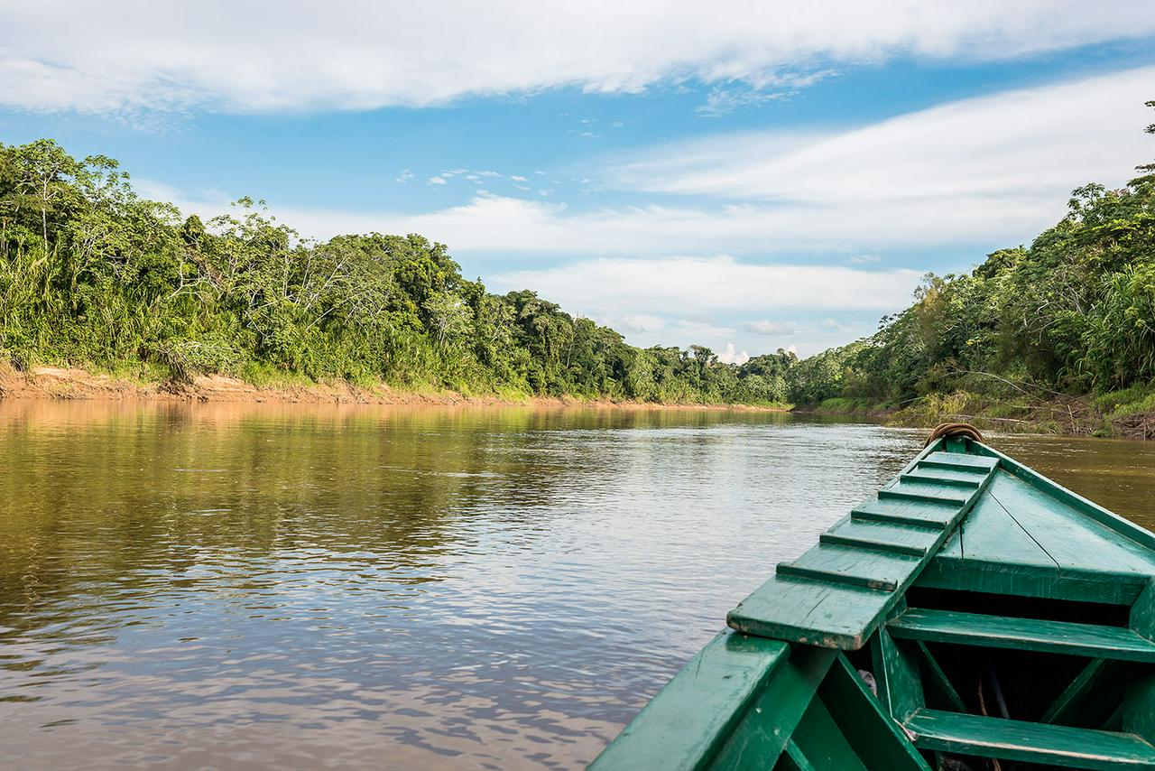 Manus Park Odyssey: Embarque em uma expedição de 4 dias na selva - Photo 12