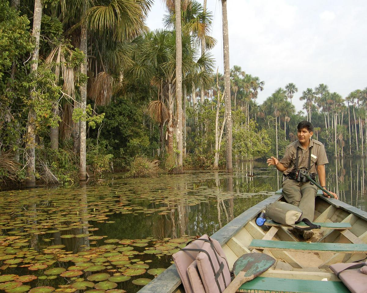 Manus Park Odyssey: Embarque em uma expedição de 4 dias na selva - Photo 18