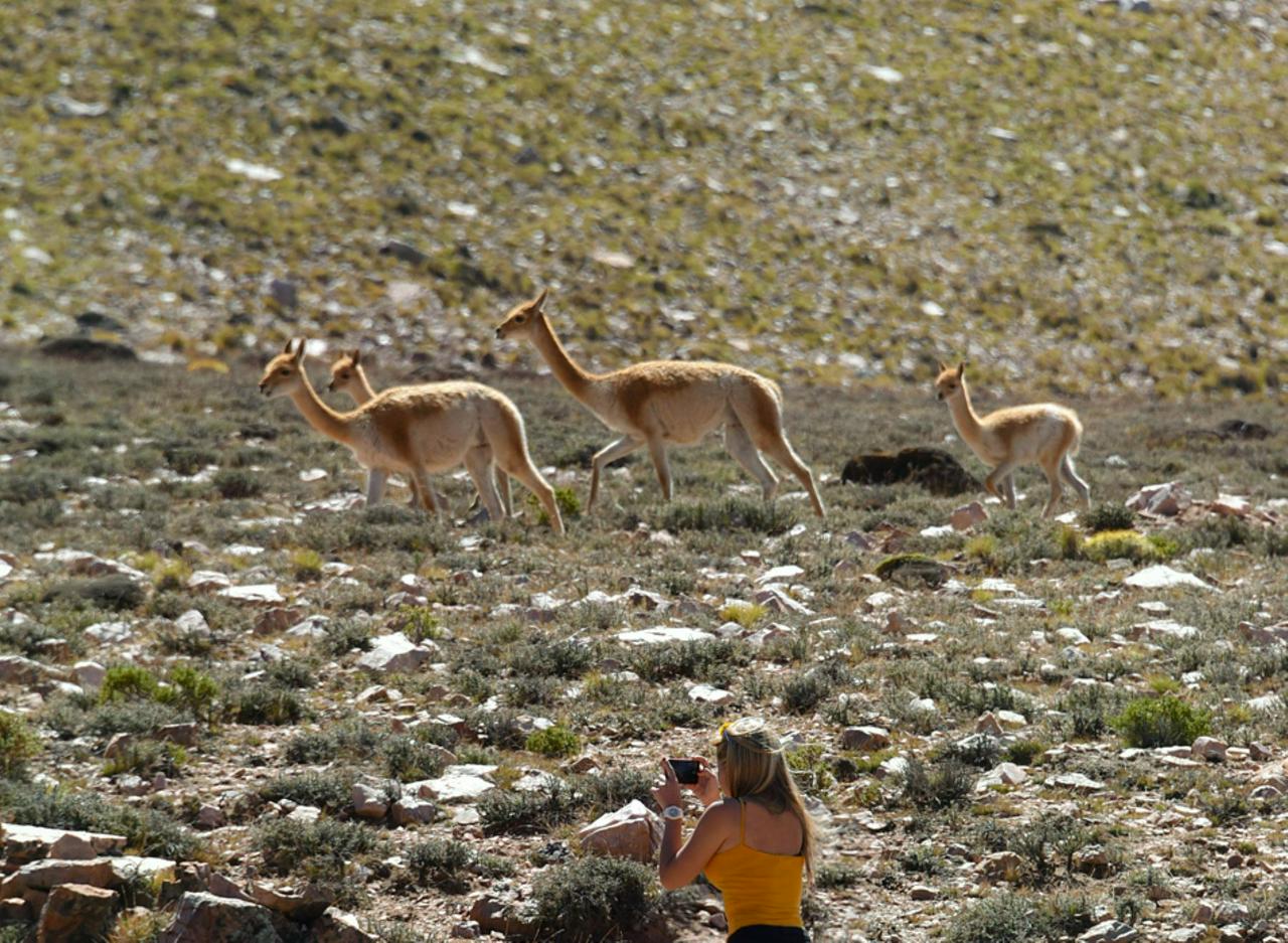 Salinas Grandes de Jujuy com Trekking em Coloraditos - Photo 4