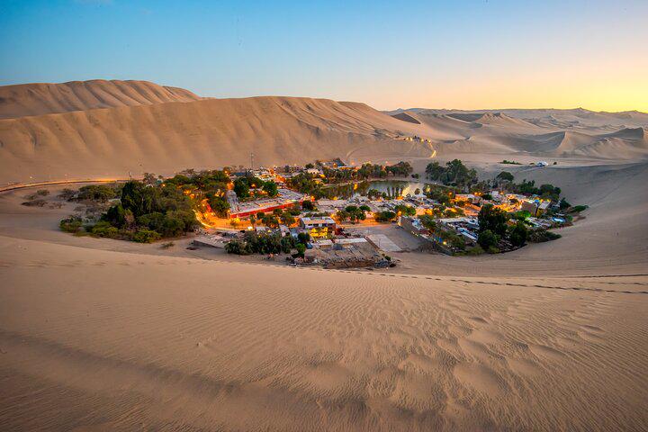 Excursão de dia inteiro em Paracas, Ica e Huacachina saindo de Lima - Photo 2