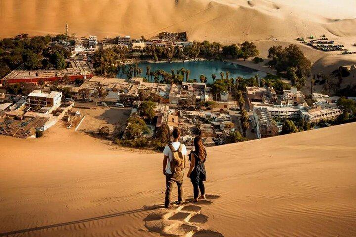 Excursão de dia inteiro em Paracas, Ica e Huacachina saindo de Lima - Photo 3