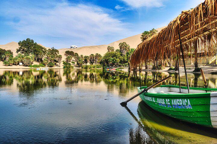 Excursão de dia inteiro em Paracas, Ica e Huacachina saindo de Lima - Photo 4