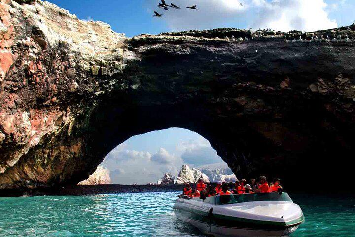 Excursão de dia inteiro em Paracas, Ica e Huacachina saindo de Lima - Photo 7