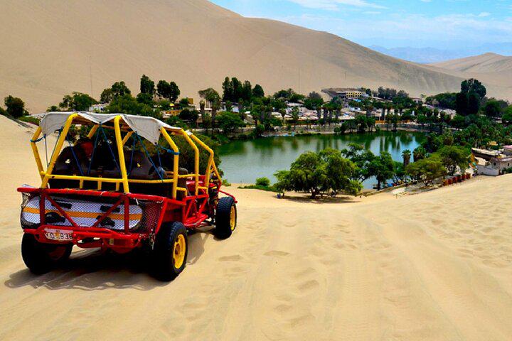 Excursão de dia inteiro em Paracas, Ica e Huacachina saindo de Lima - Photo 8