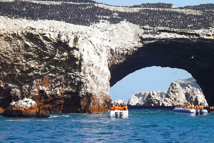 Excursão de dia inteiro em Paracas, Ica e Huacachina saindo de Lima - Photo 13