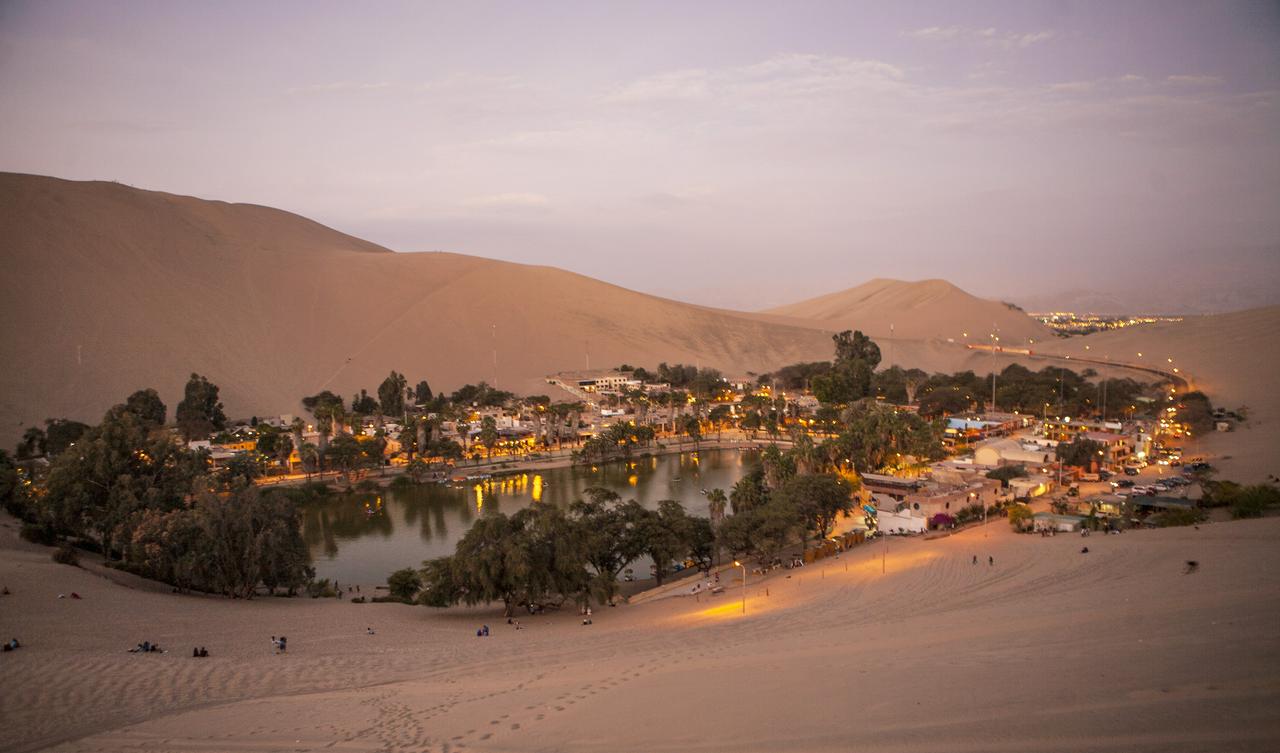 Excursão de dia inteiro em Paracas, Ica e Huacachina saindo de Lima - Photo 17