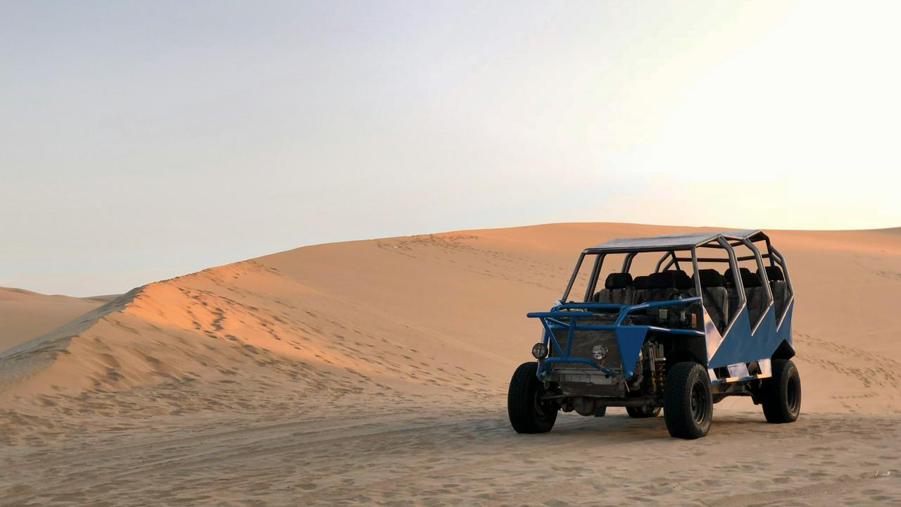 Excursão de dia inteiro em Paracas, Ica e Huacachina saindo de Lima - Photo 20