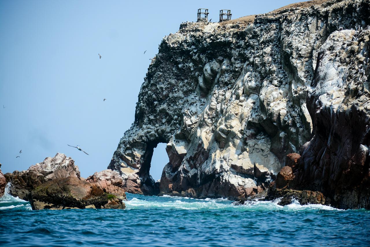 Excursão de dia inteiro em Paracas, Ica e Huacachina saindo de Lima - Photo 21
