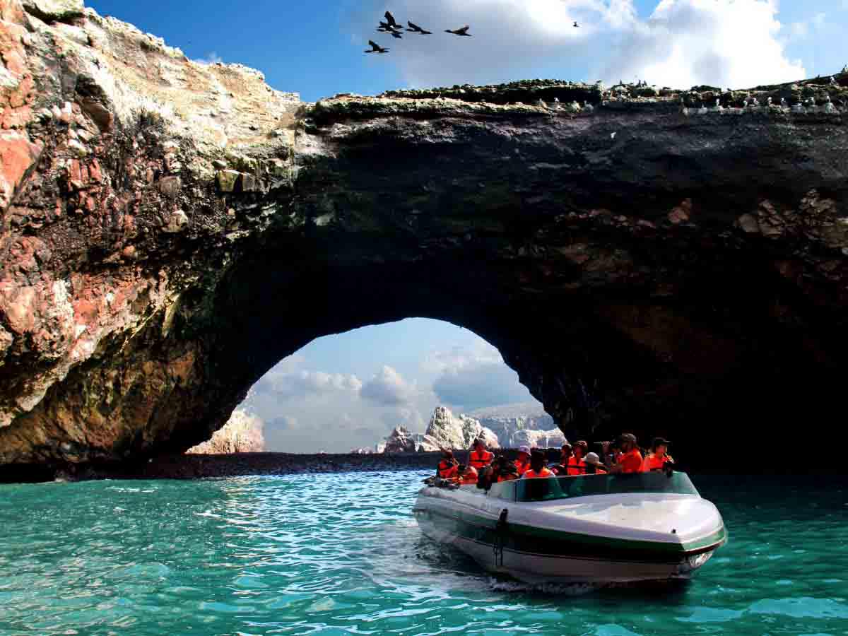 Excursão de dia inteiro em Paracas, Ica e Huacachina saindo de Lima - Photo 22