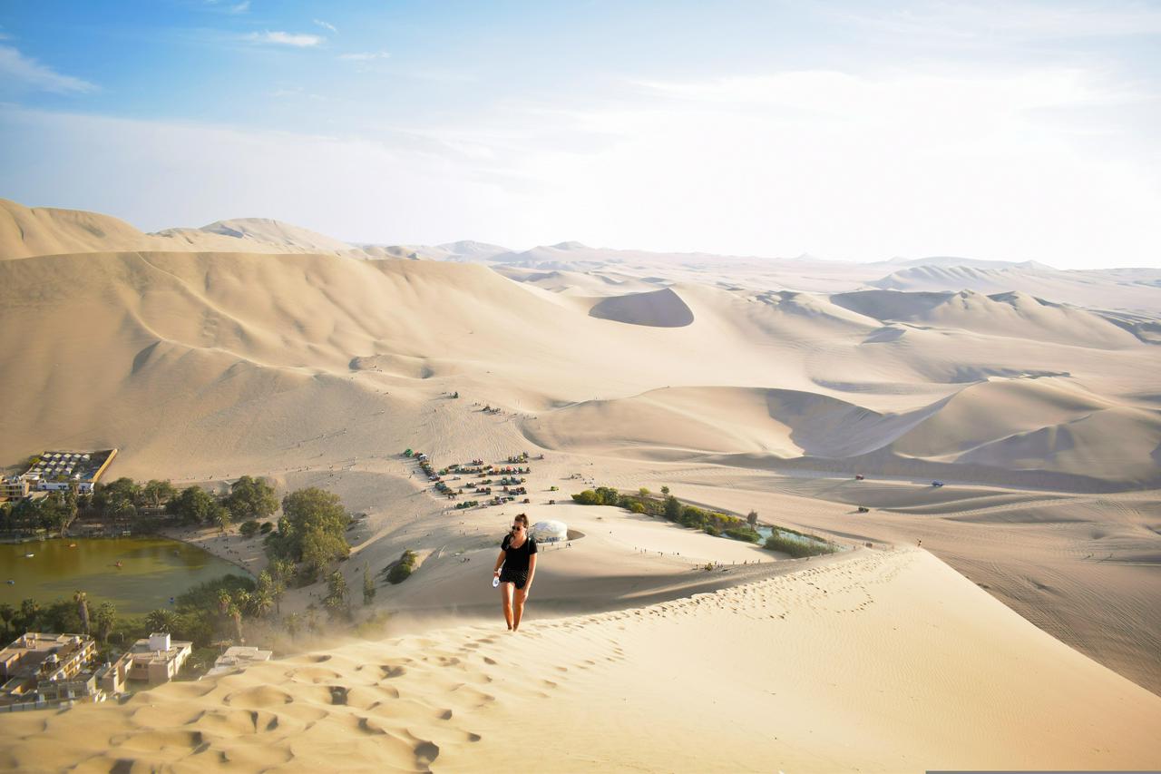 Excursão de dia inteiro em Paracas, Ica e Huacachina saindo de Lima - Photo 25