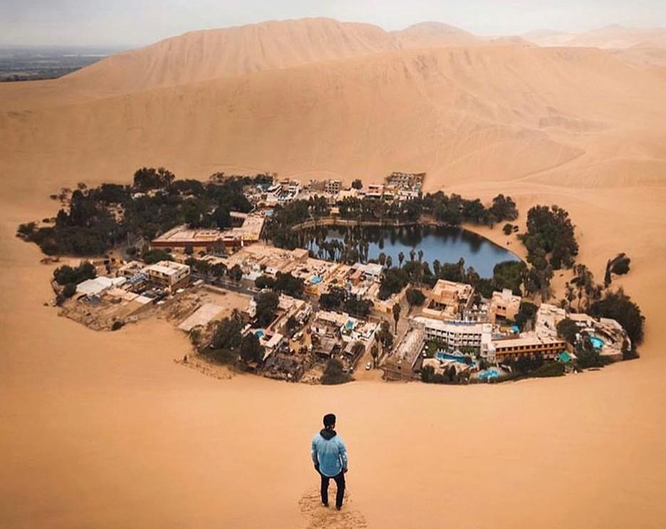 Excursão de dia inteiro em Paracas, Ica e Huacachina saindo de Lima - Photo 29