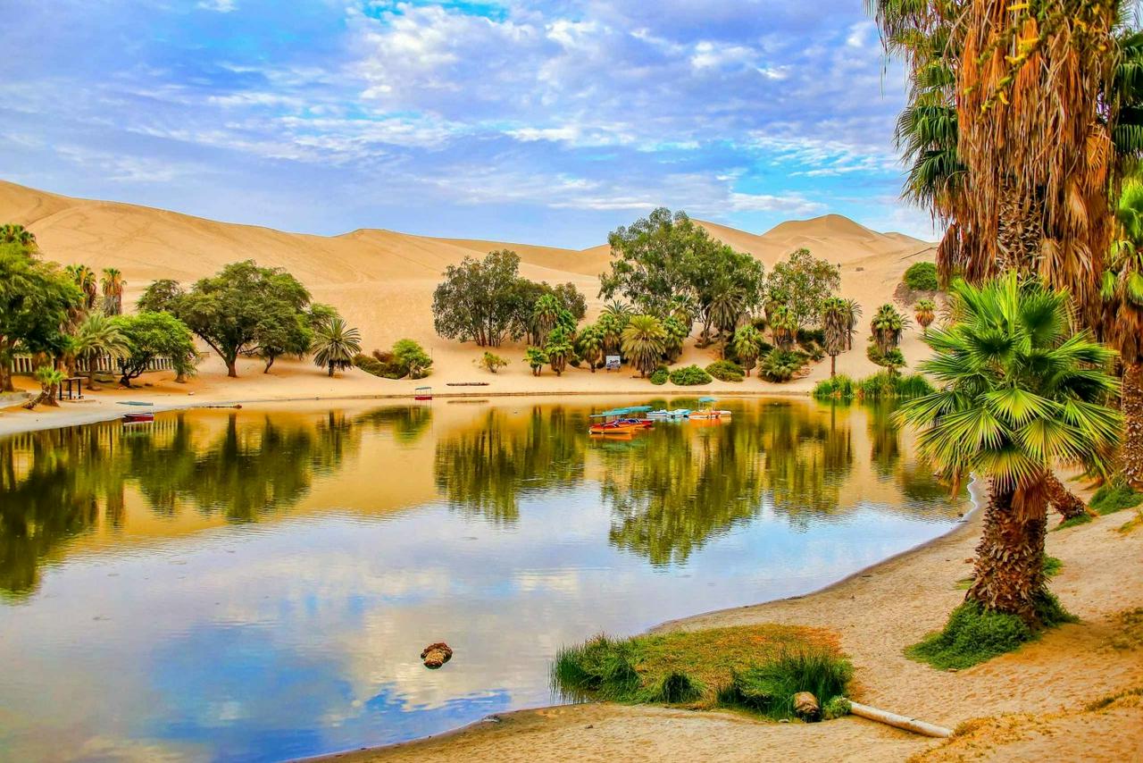 Fuga para as maravilhas da costa: 2 dias em Paracas e Huacachina - Photo 15