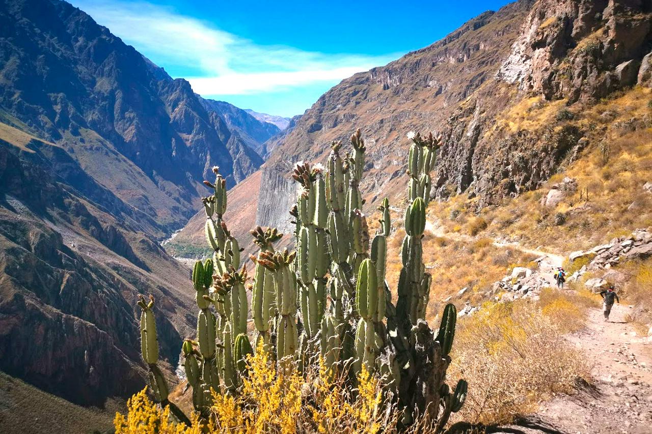 Excursão de um dia ao Canyon do Colca - Photo 7