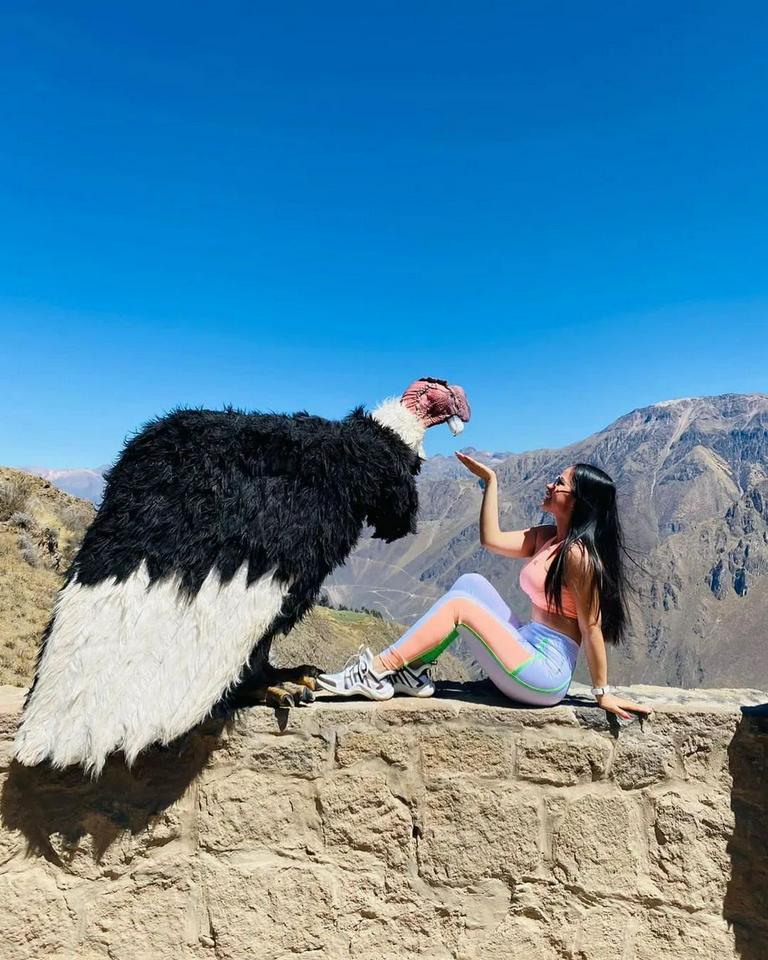Excursão de um dia ao Canyon do Colca - Photo 9
