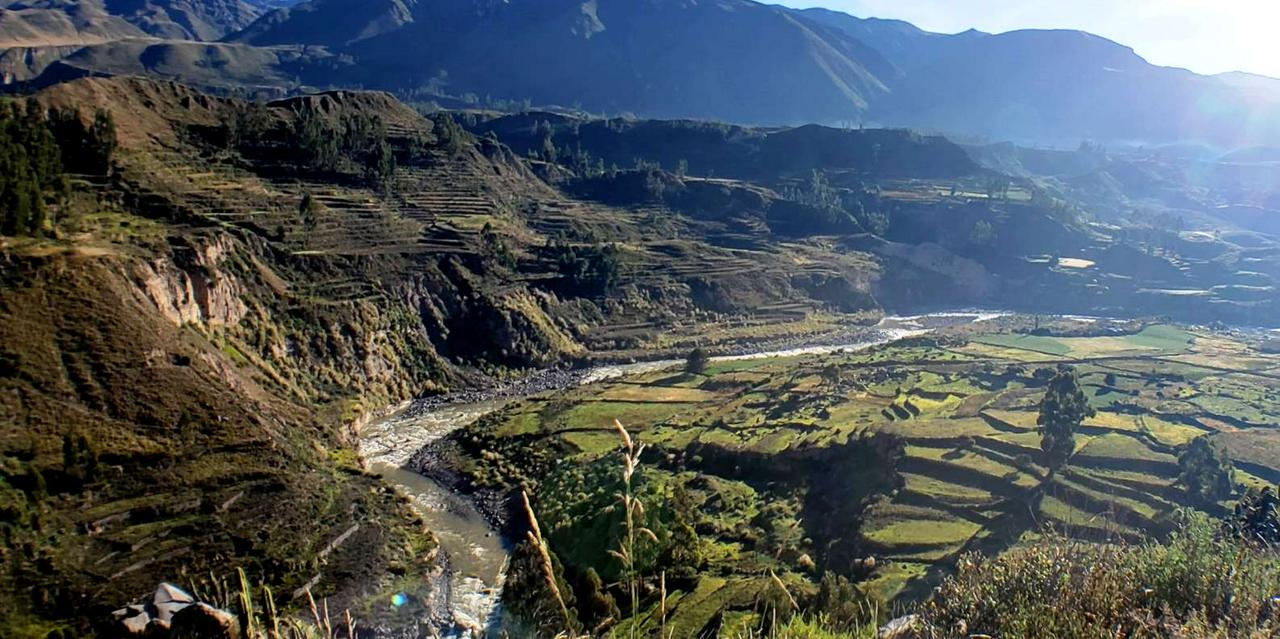 Excursão de um dia ao Canyon do Colca - Photo 11