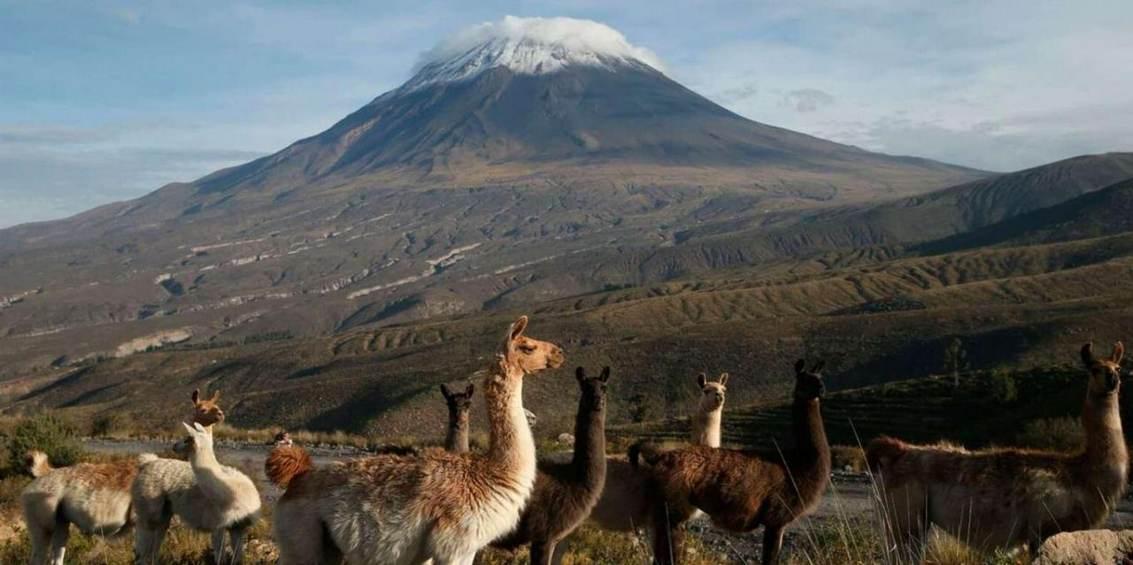 Expedição ao Vulcão Misti - Conquiste o Pico - Photo 9