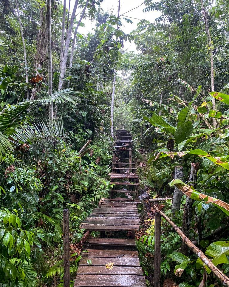 Regalia of the Waterfall: The jewel of Bello Horizonte - Photo 5