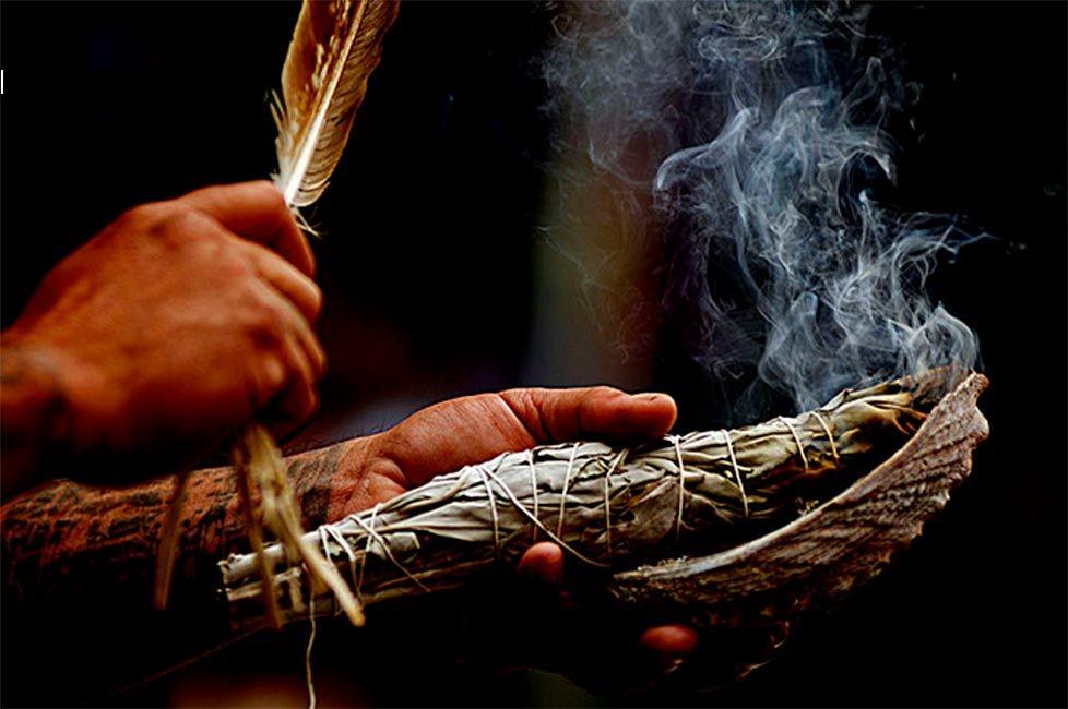 Ayahuasca Experience: 1 Night Session - Photo 12