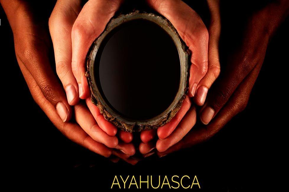 Extended Ayahuasca Experience - 4 Days of Transformation - Photo 5