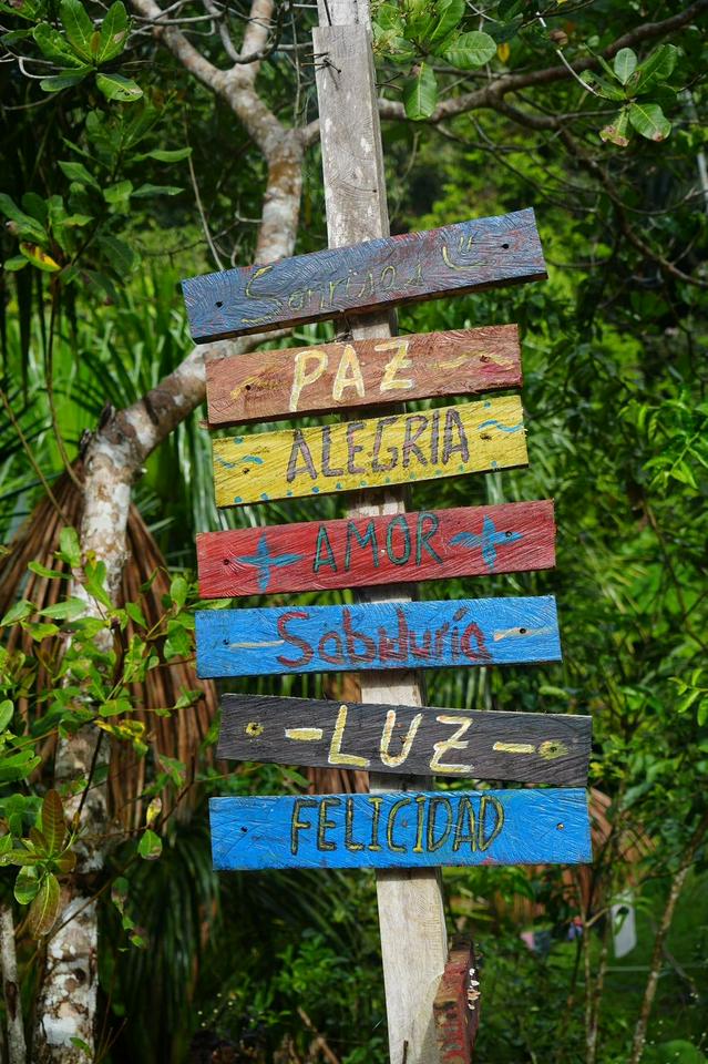 Extended Ayahuasca Experience - 4 Days of Transformation - Photo 10
