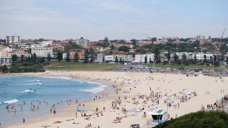 Excursão panorâmica de meio dia pelos pontos turísticos de Sydney - Photo 3